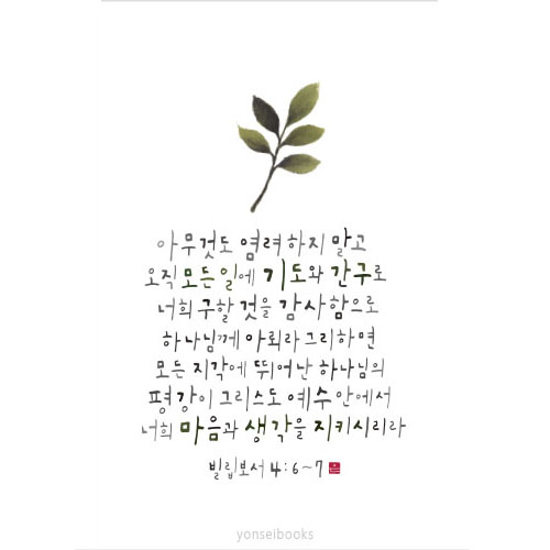 캘리그라피 말씀 엽서(대)